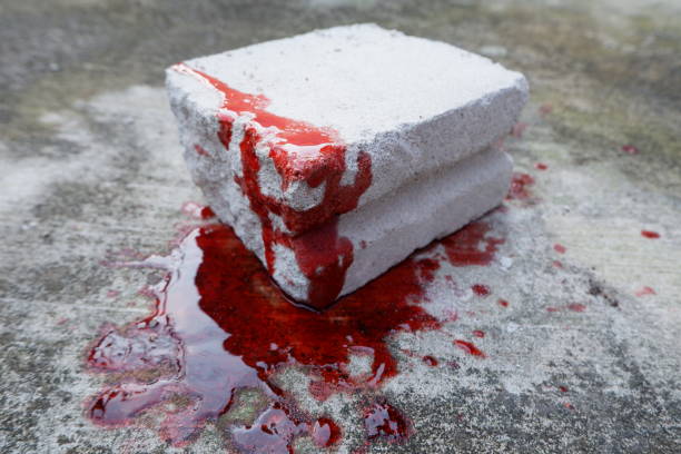 Things to Know Before Reliable Stain Block Elite in Wyoming